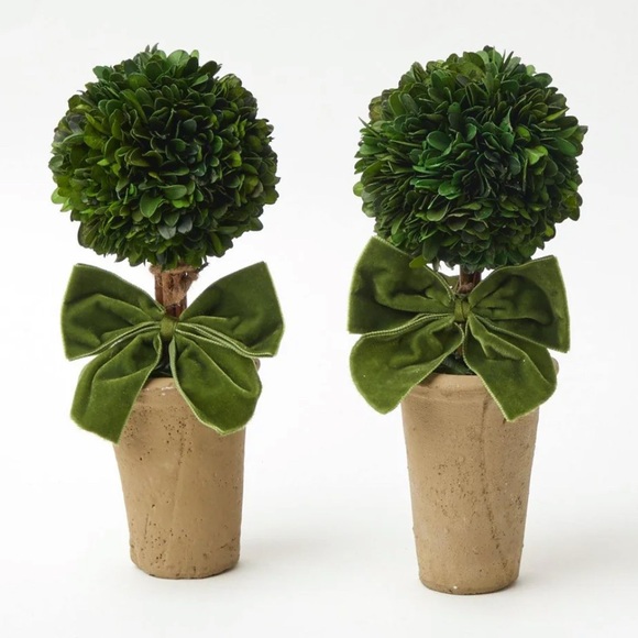 Mrs. Alice Ribboned Potted Boxwood Ball (Pair) - Picture 1 of 3